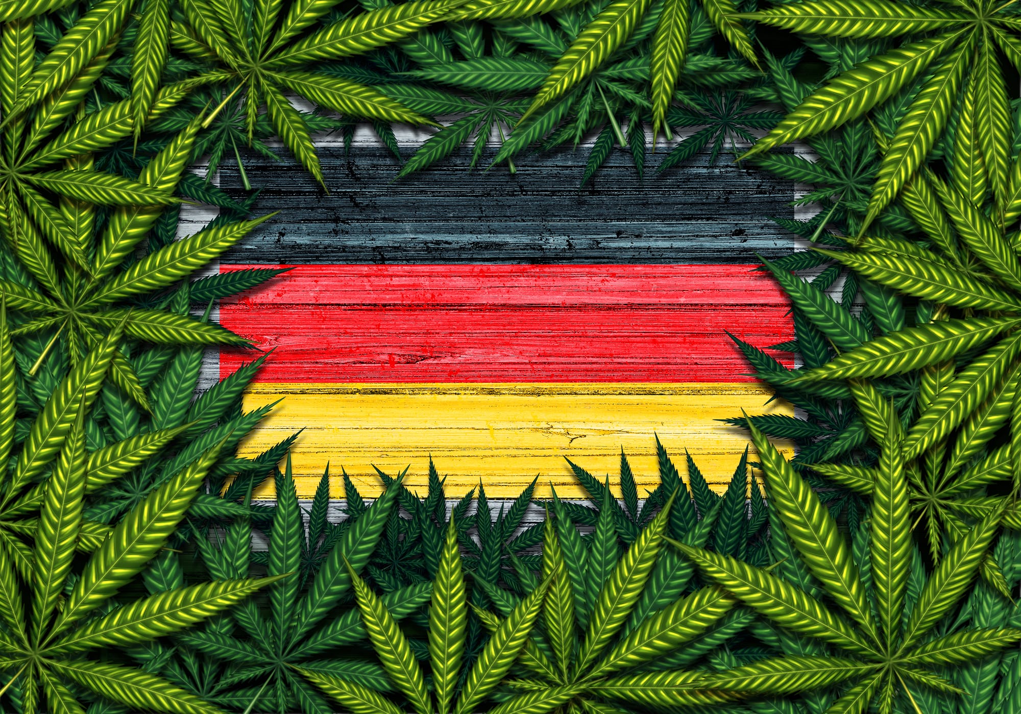 Cannabis und die Legalisierungswelle