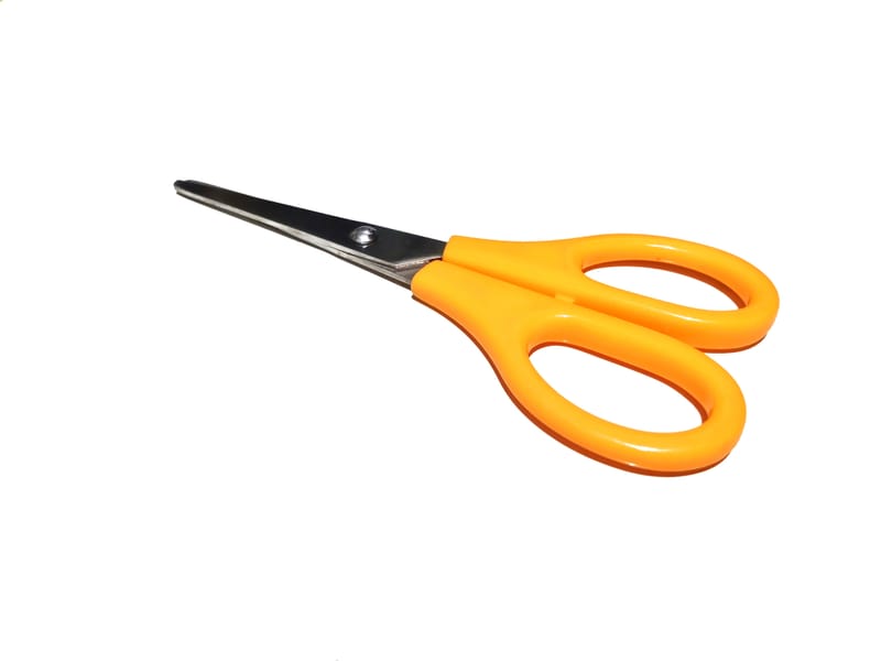 Stecklings Anfertigung