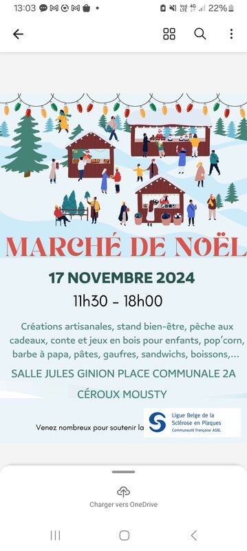 Marché de Noël au profit de la Ligue Belge de la Sclerose en Plaques