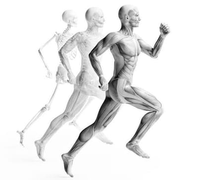 Preventive Measures for Musculoskeletal Health: Tips for a Stronger Body