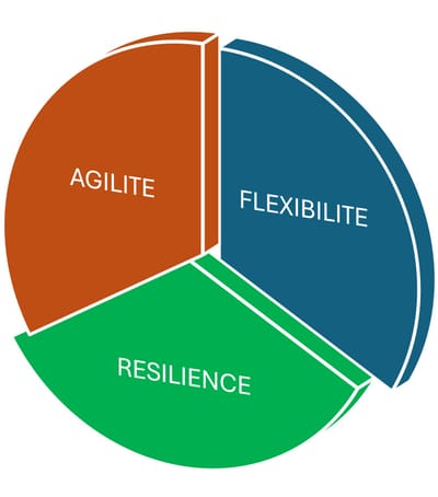LA MENSUELLE D'AVRIL 2025-MOTS OU CONCEPTS ? "RESILIENCE", "FLEXIBILITE", "AGILITE"