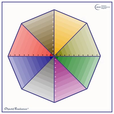 Objectif Résilience ©