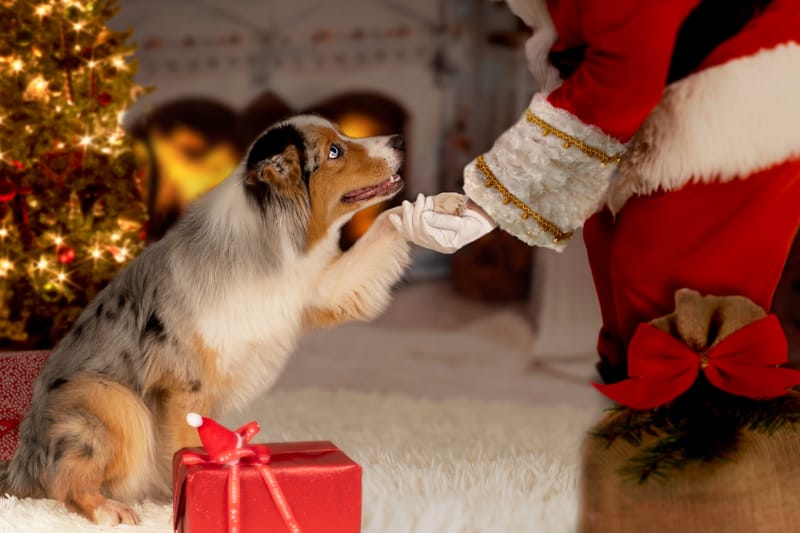 Kerstmanneke