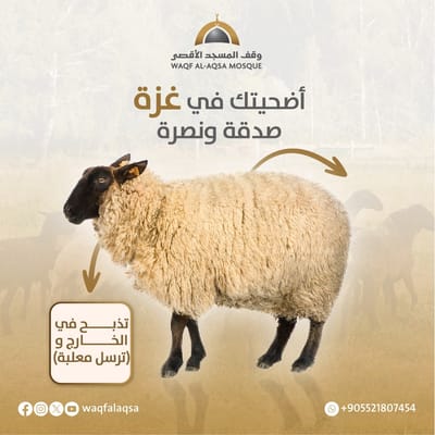 مشروع الأضاحي