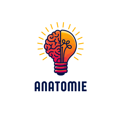 Anatomie générale