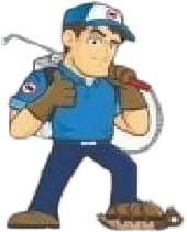 Deratizare,Dezinsectie,Dezinfectie