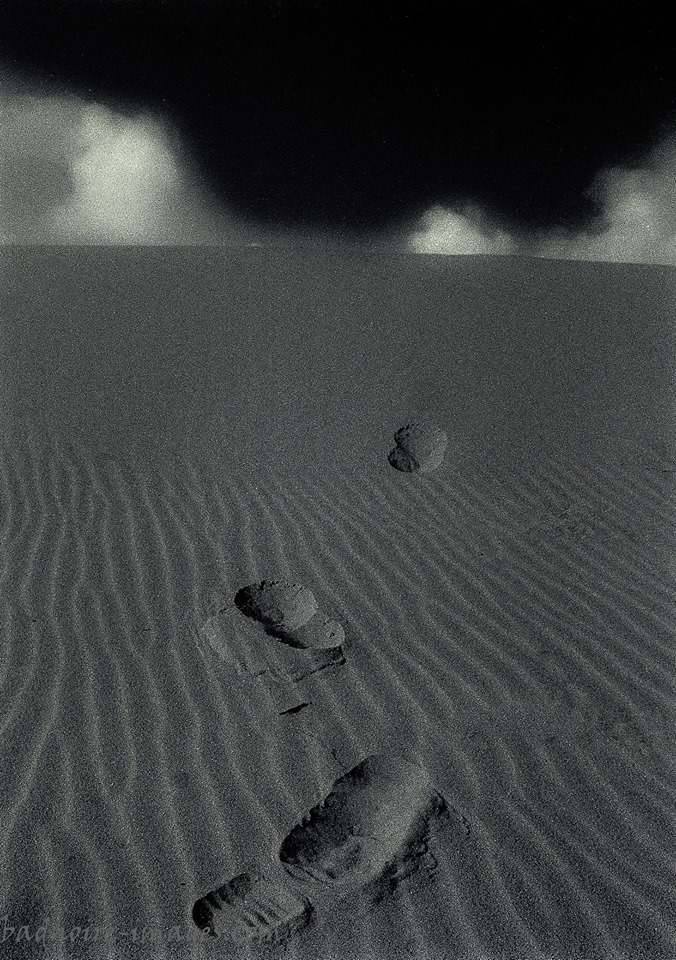 leaving no footprints