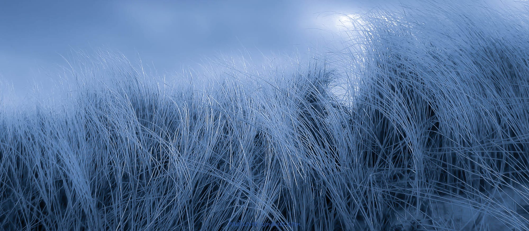 leaving no footprints