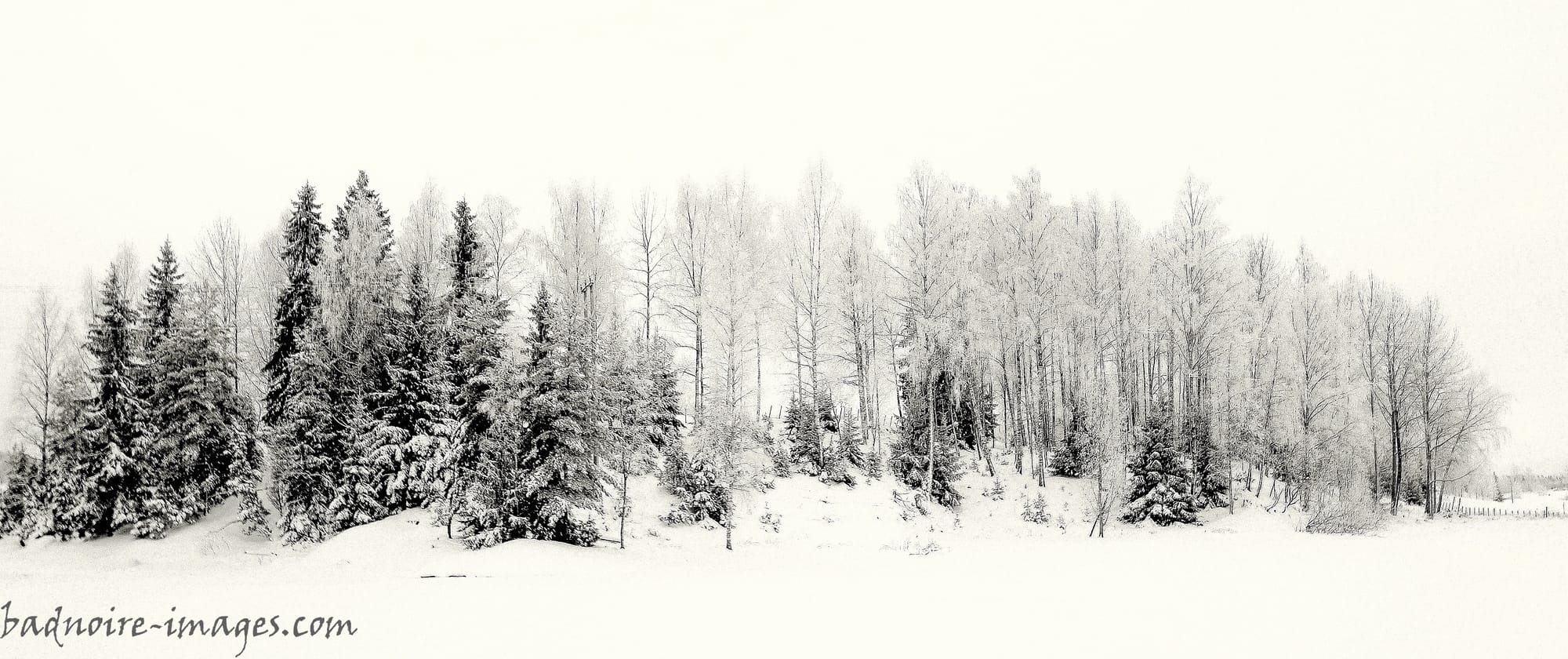 leaving no footprints