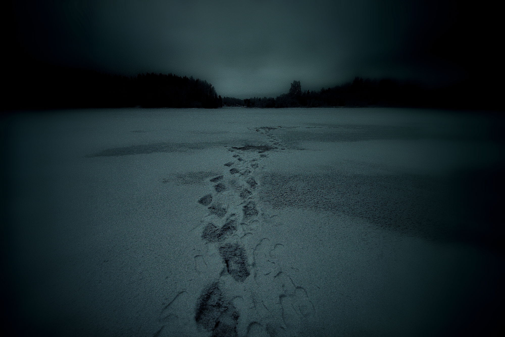 leaving no footprints