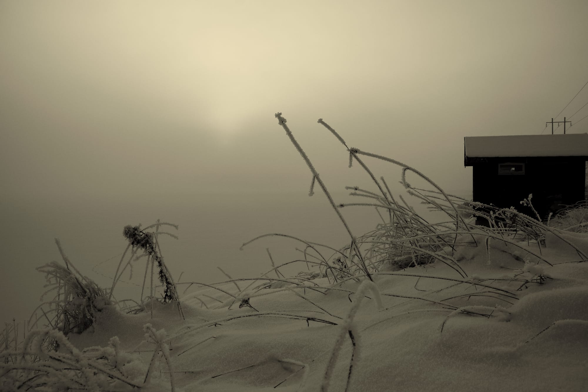 leaving no footprints