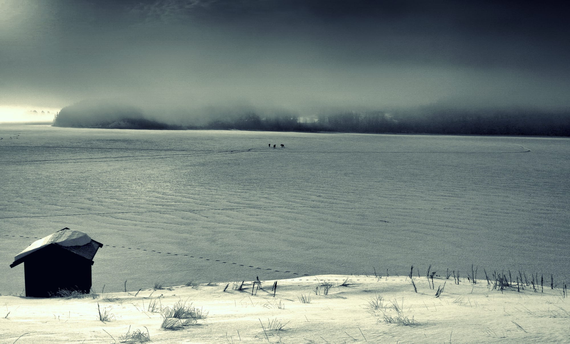 leaving no footprints