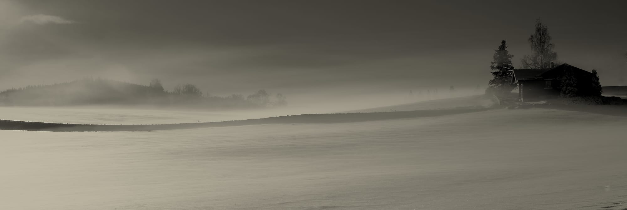 leaving no footprints