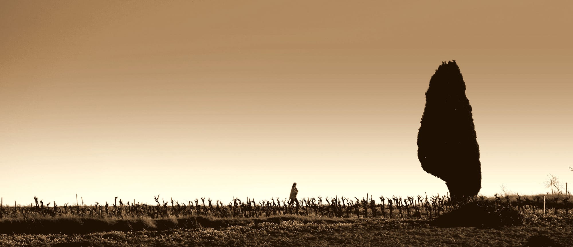 leaving no footprints