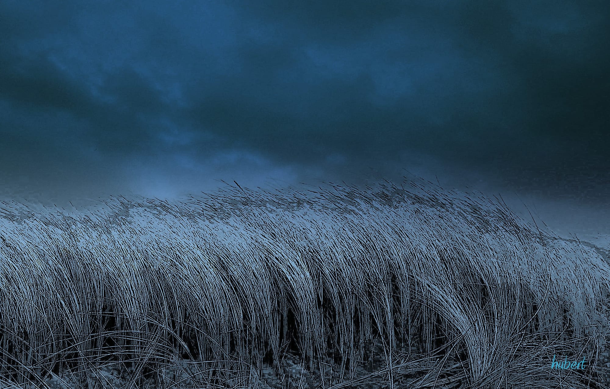 leaving no footprints