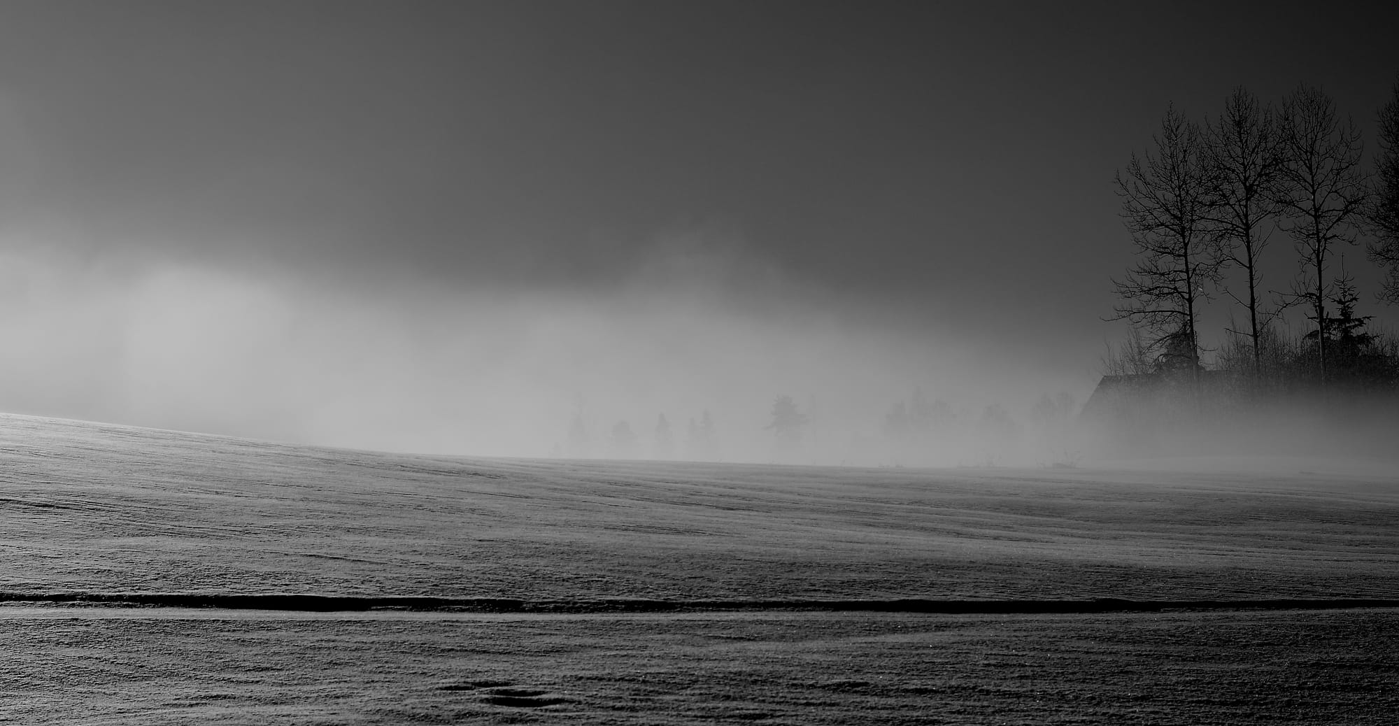 leaving no footprints