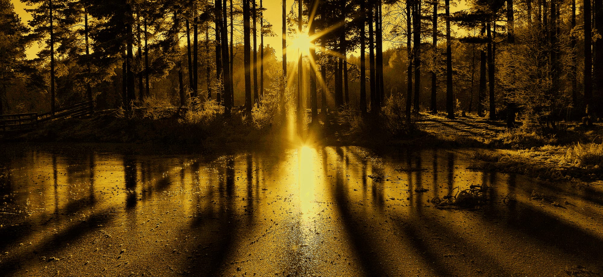 leaving no footprints