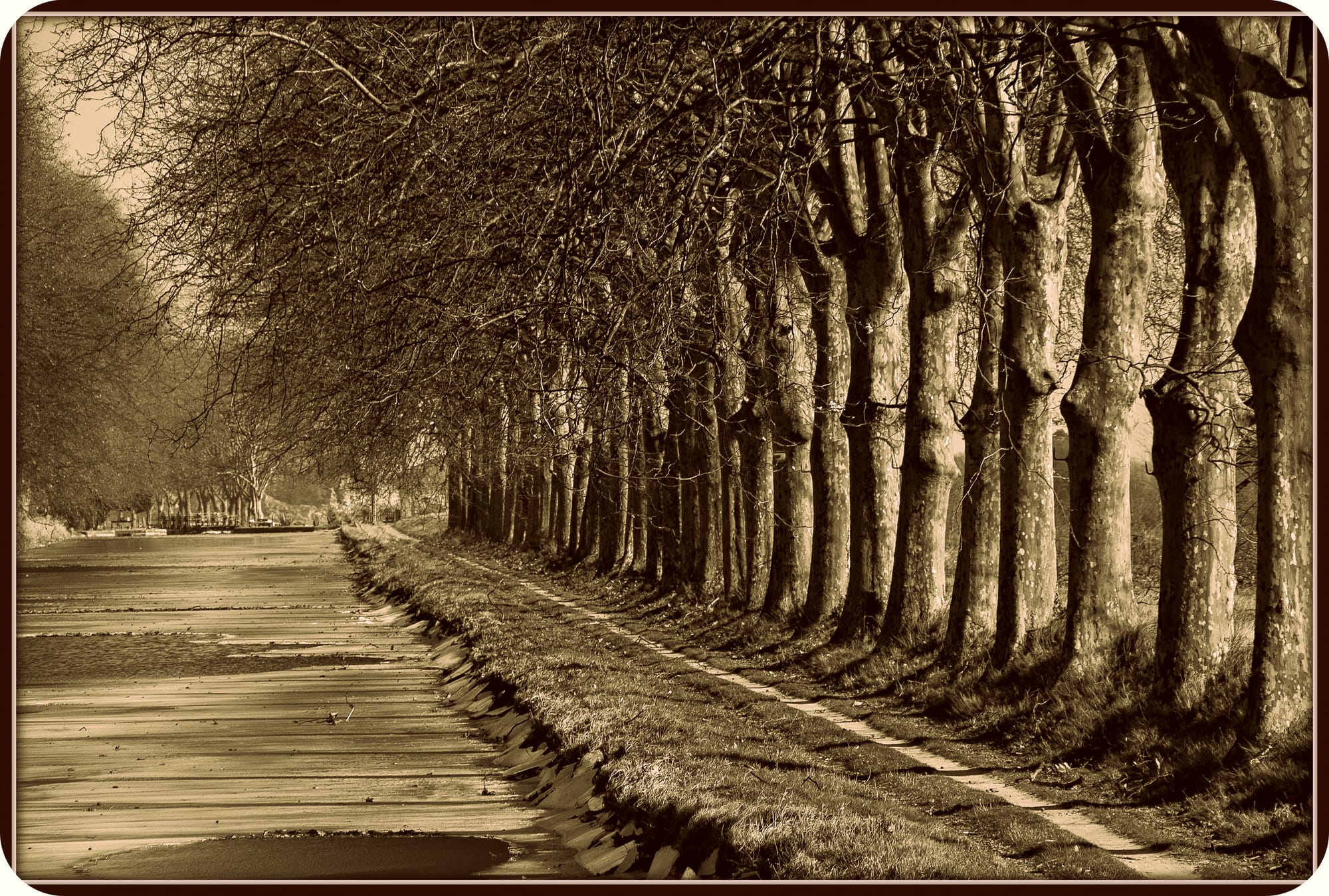 leaving no footprints