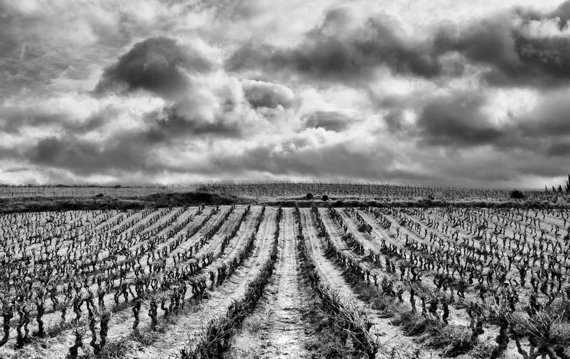 leaving no footprints