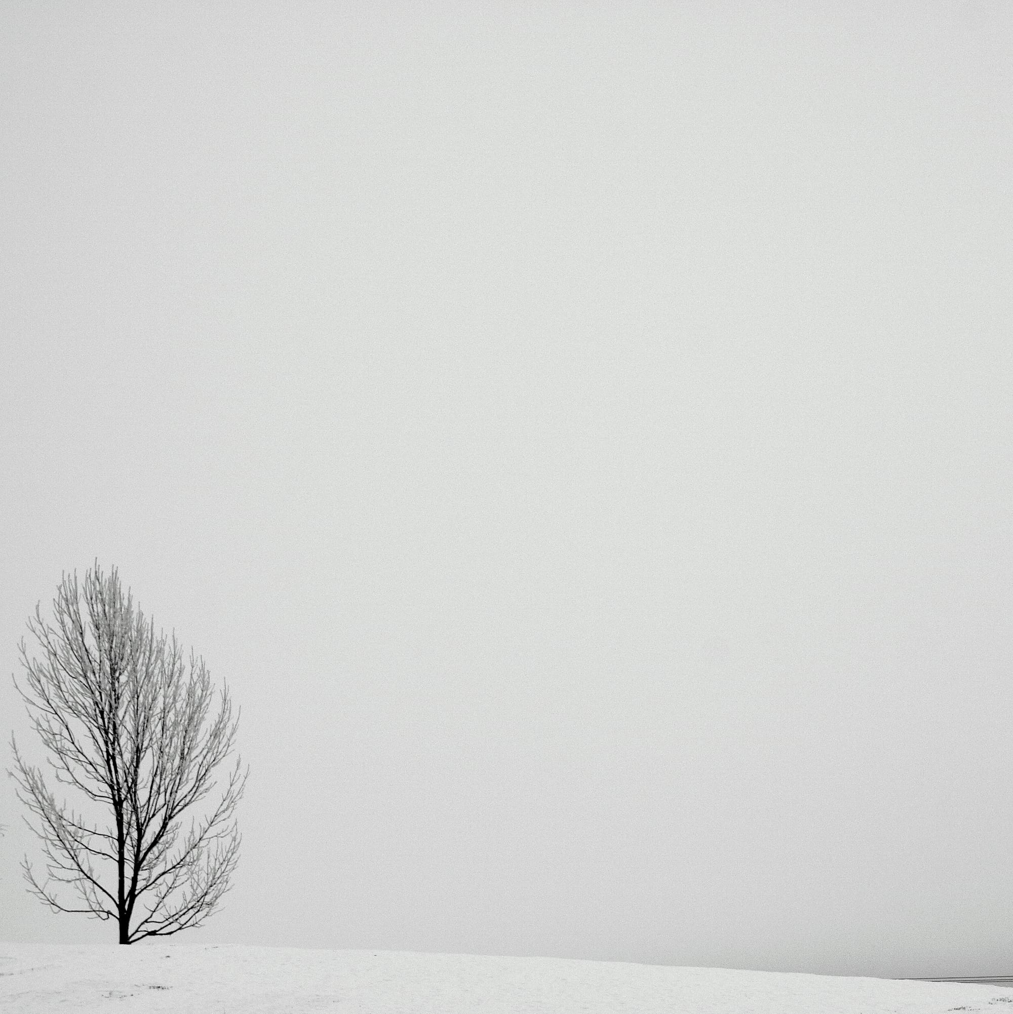 leaving no footprints