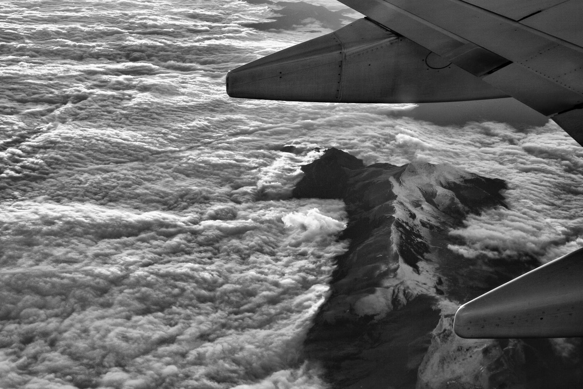 leaving no footprints