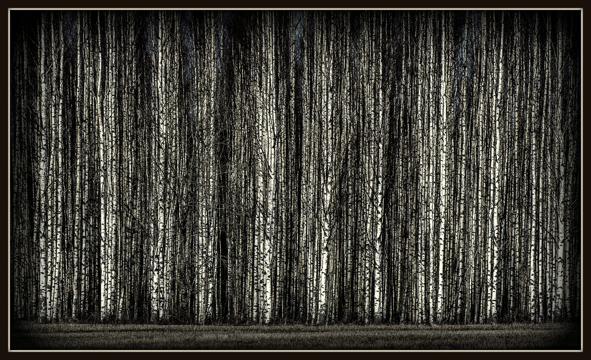 leaving no footprints