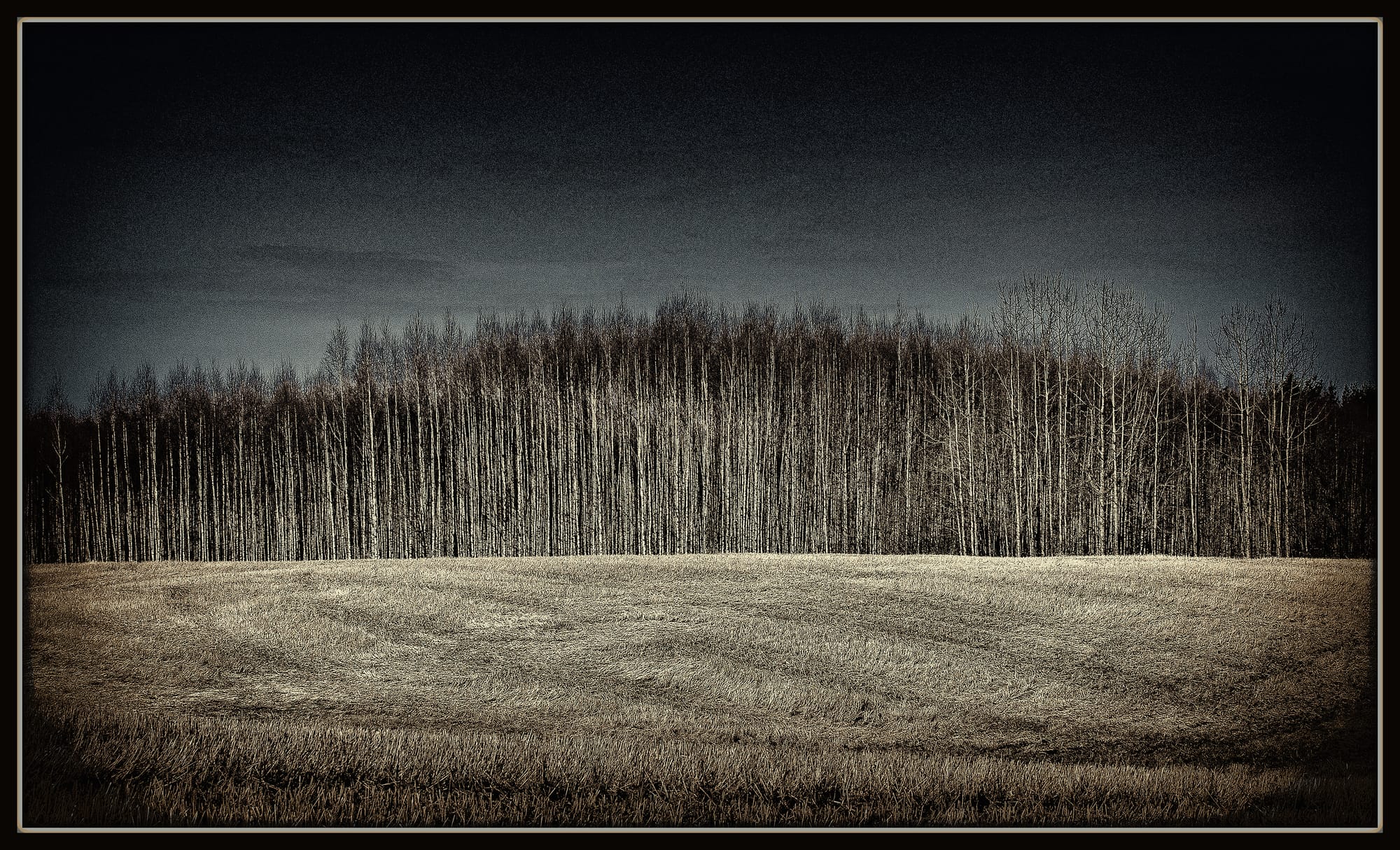 leaving no footprints