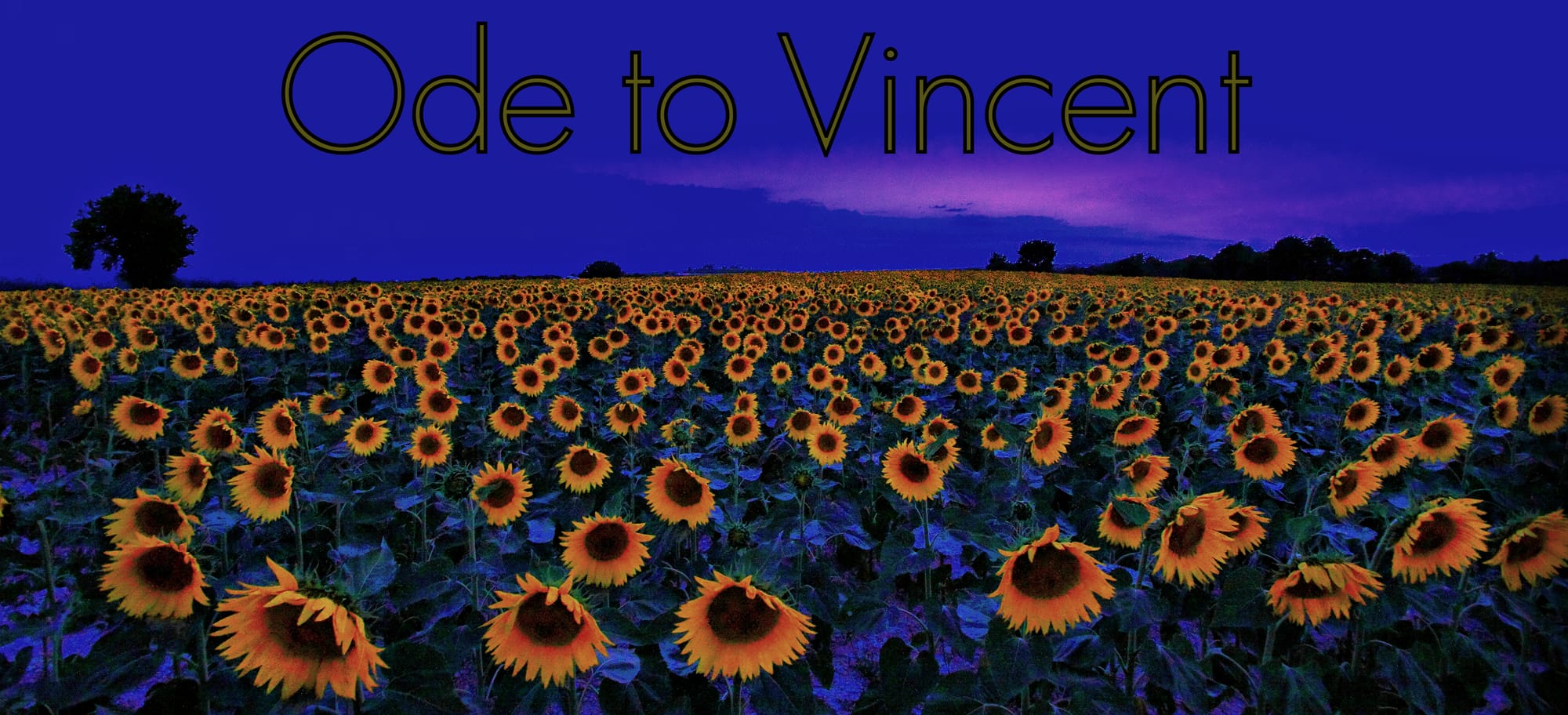 leaving no footprints