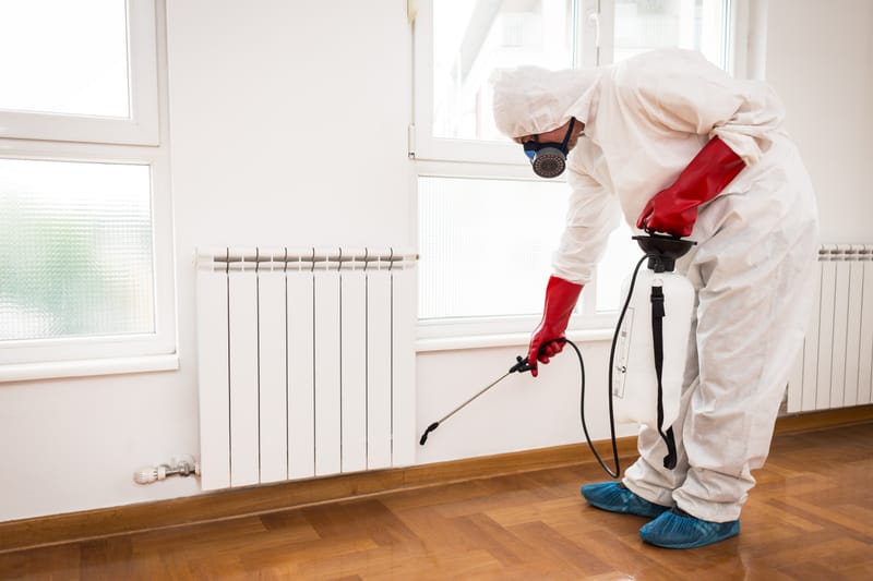 Pest Control Treatment
