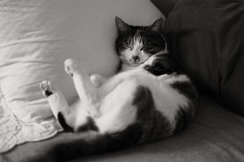 Que deviennent-ils ?