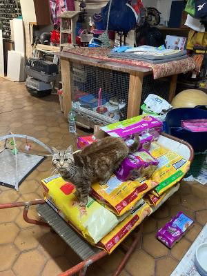 Comment s'est passée l'année 2025 !