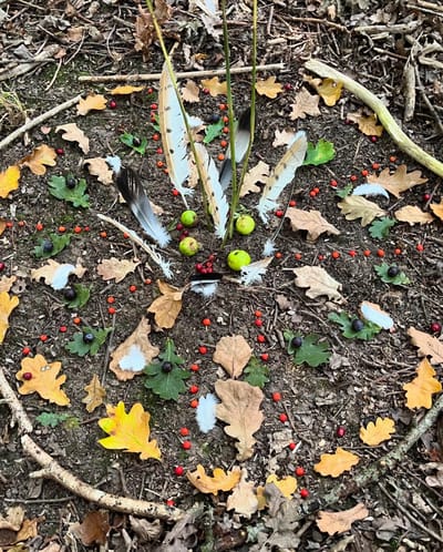 Welcome to the blog!