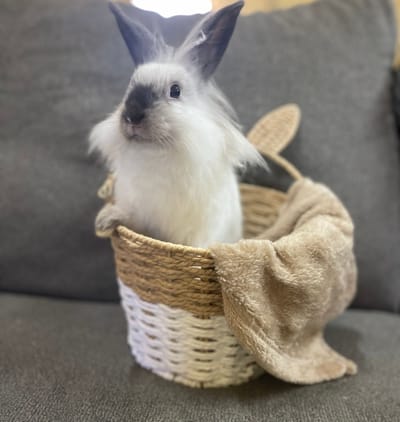 Our Bun sales and Term Aggreement