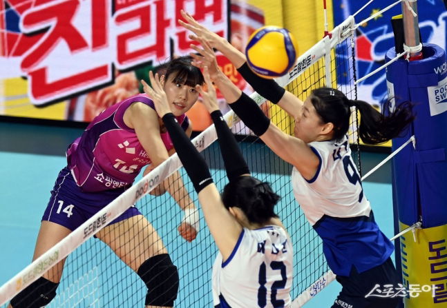 지는 법 잊은 흥국생명, 정윤주 앞세워 현대건설 연패 몰아넣고 개막 9연승 - 메이저저장소