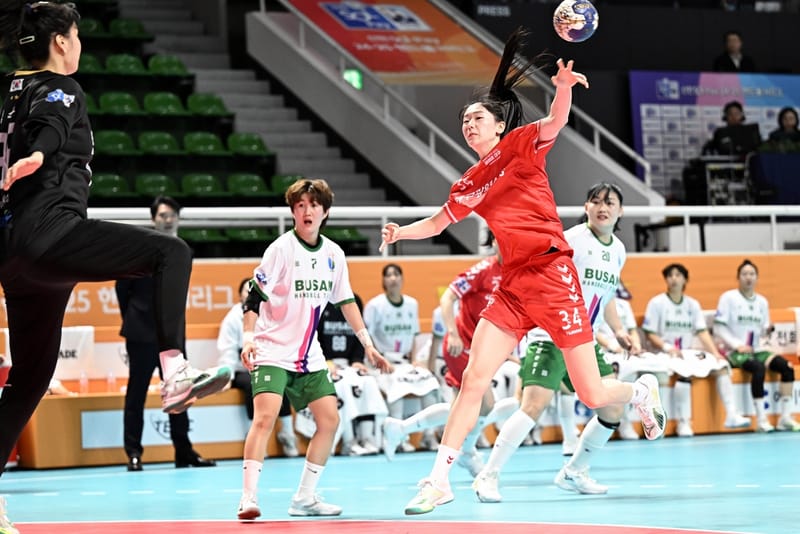 핸드볼 부산시설공단, 이혜원 8골 활약 앞세워 대구시청 제압 메이저저장소와함께 뉴스분석하기