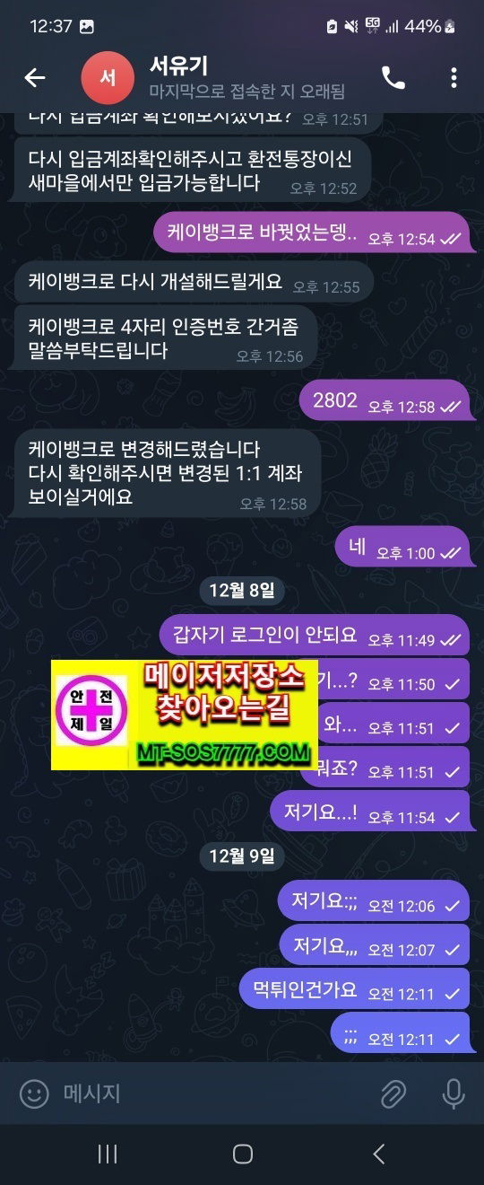 메이저저장소 먹튀사진