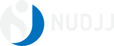 Nudjj LLC