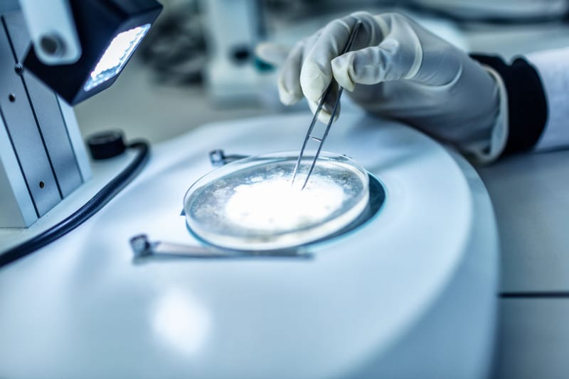 Nanobiotech Wound Care | SWAZA