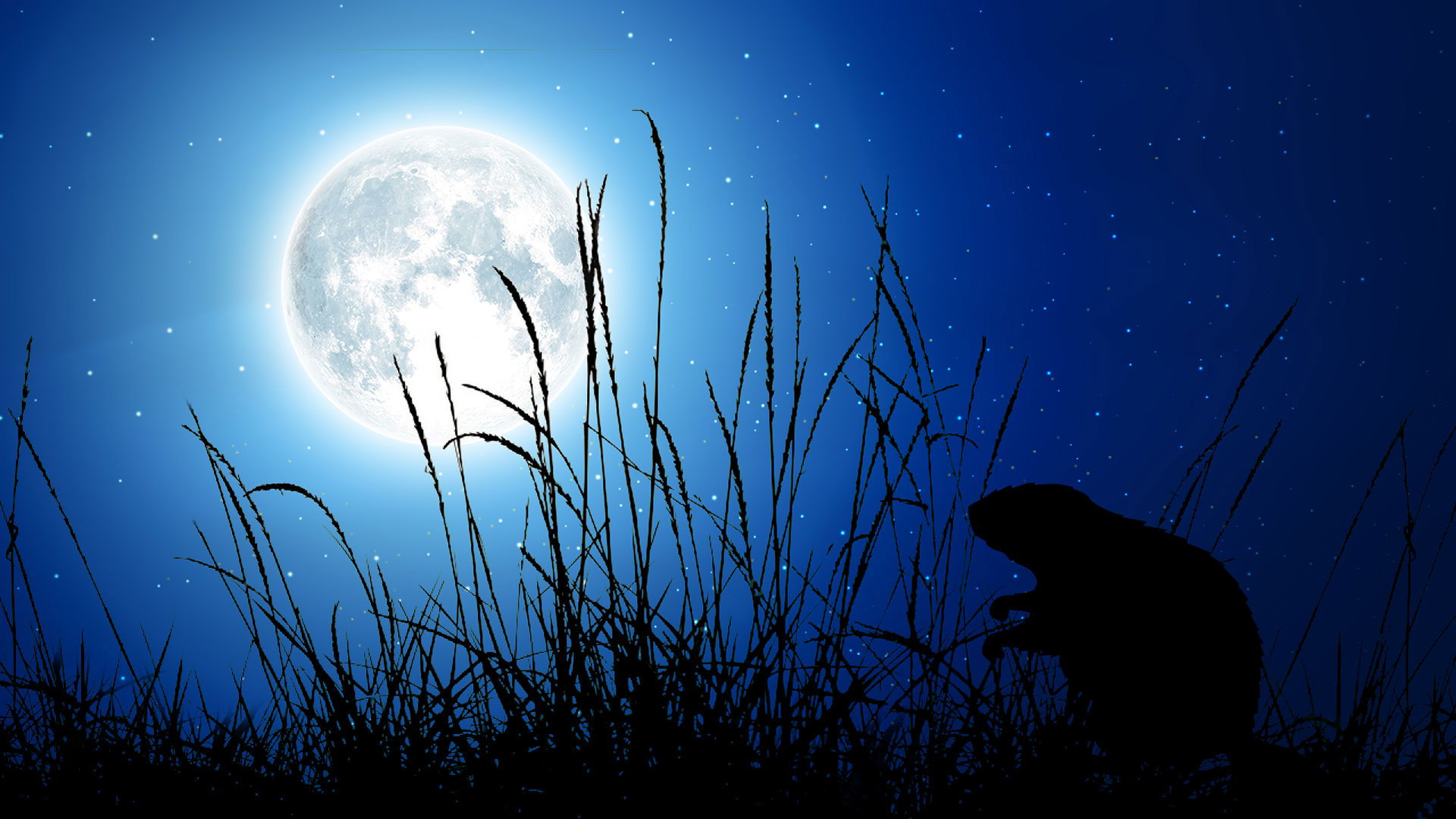 Les phases de la lune