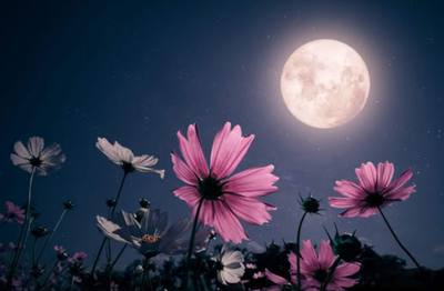 Pleine Lune du 12 mai 2025