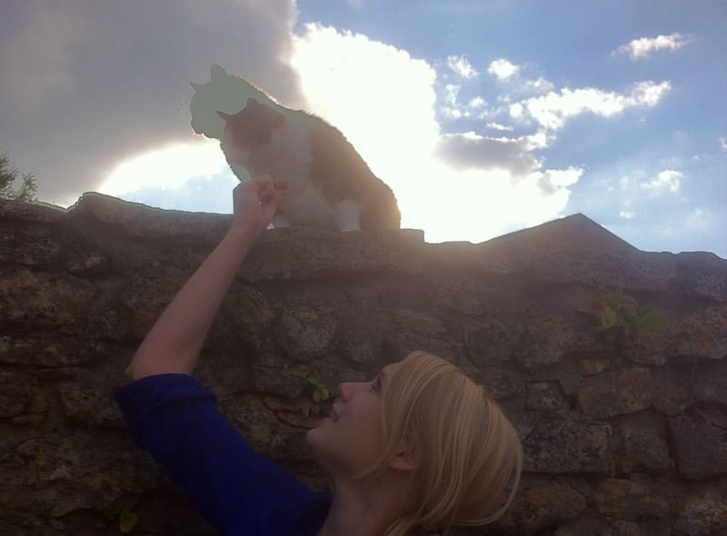 Soins énergétiques