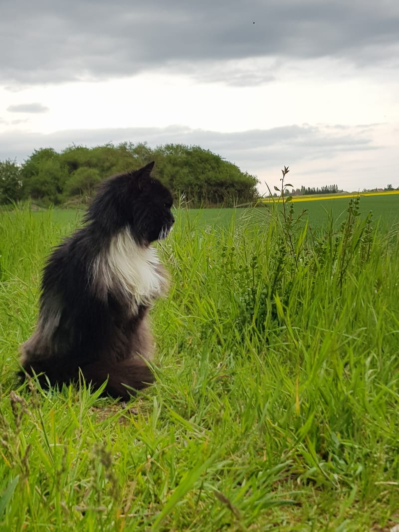 Hommage & Lumière - Souvenir d’Âme