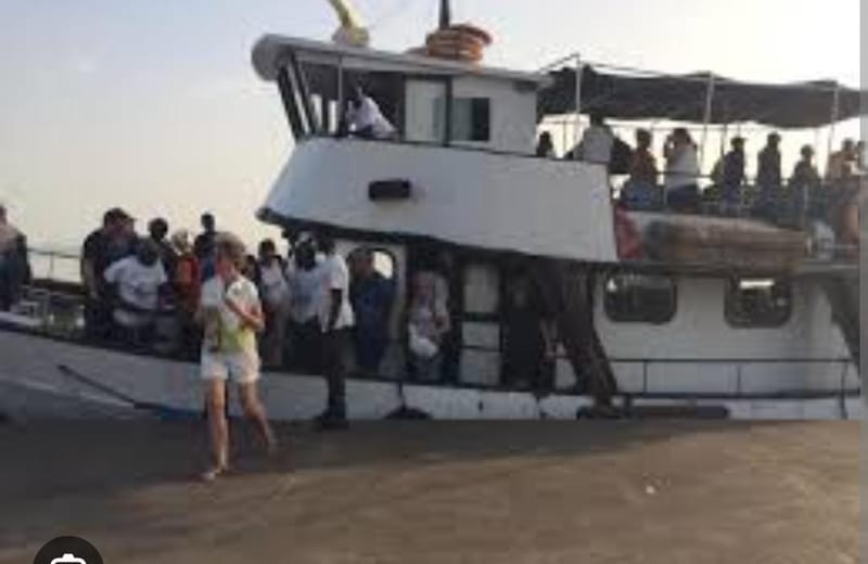Root by Boat