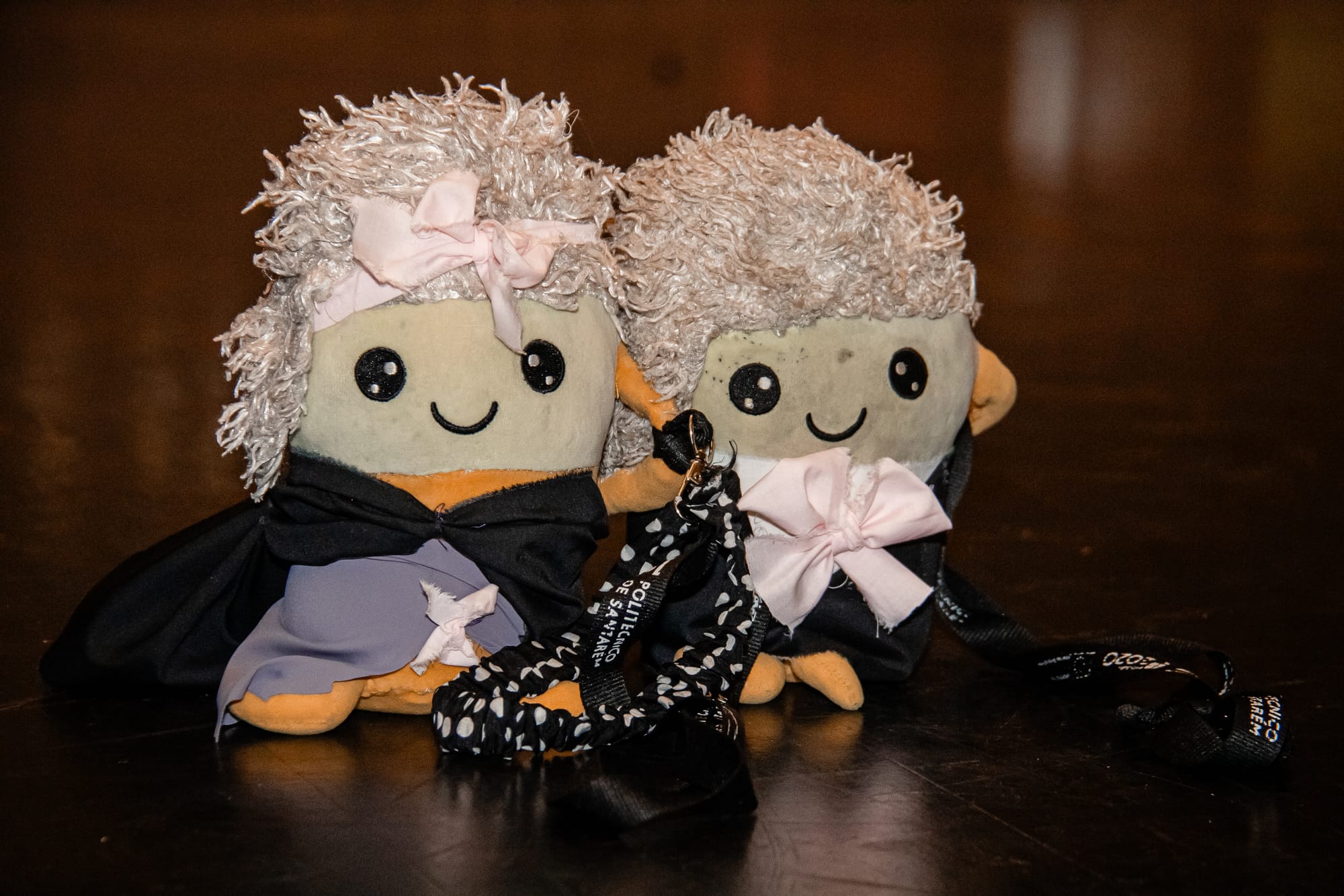 XVII GALA PIRÂMIDES DE OURO