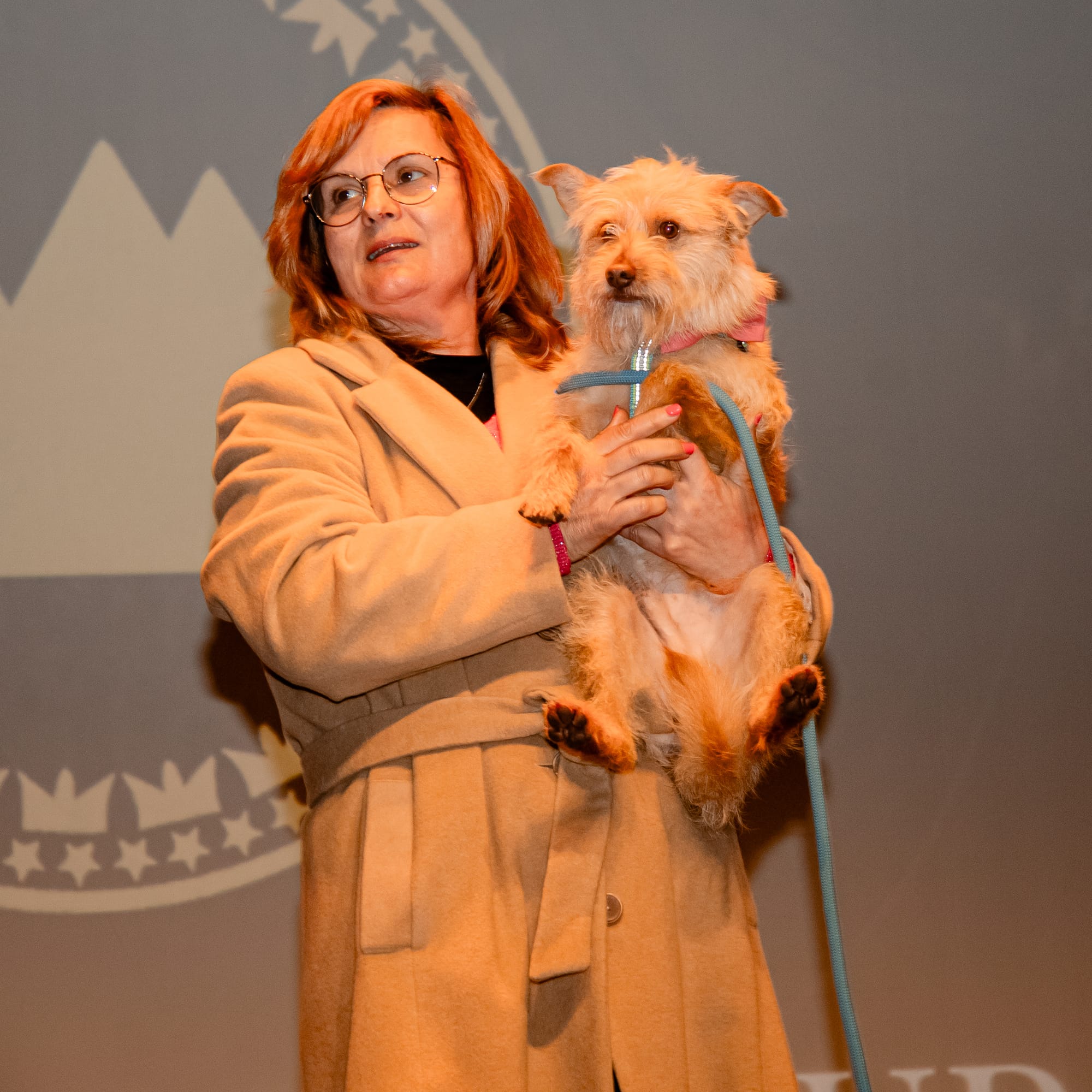 XVII GALA PIRÂMIDES DE OURO
