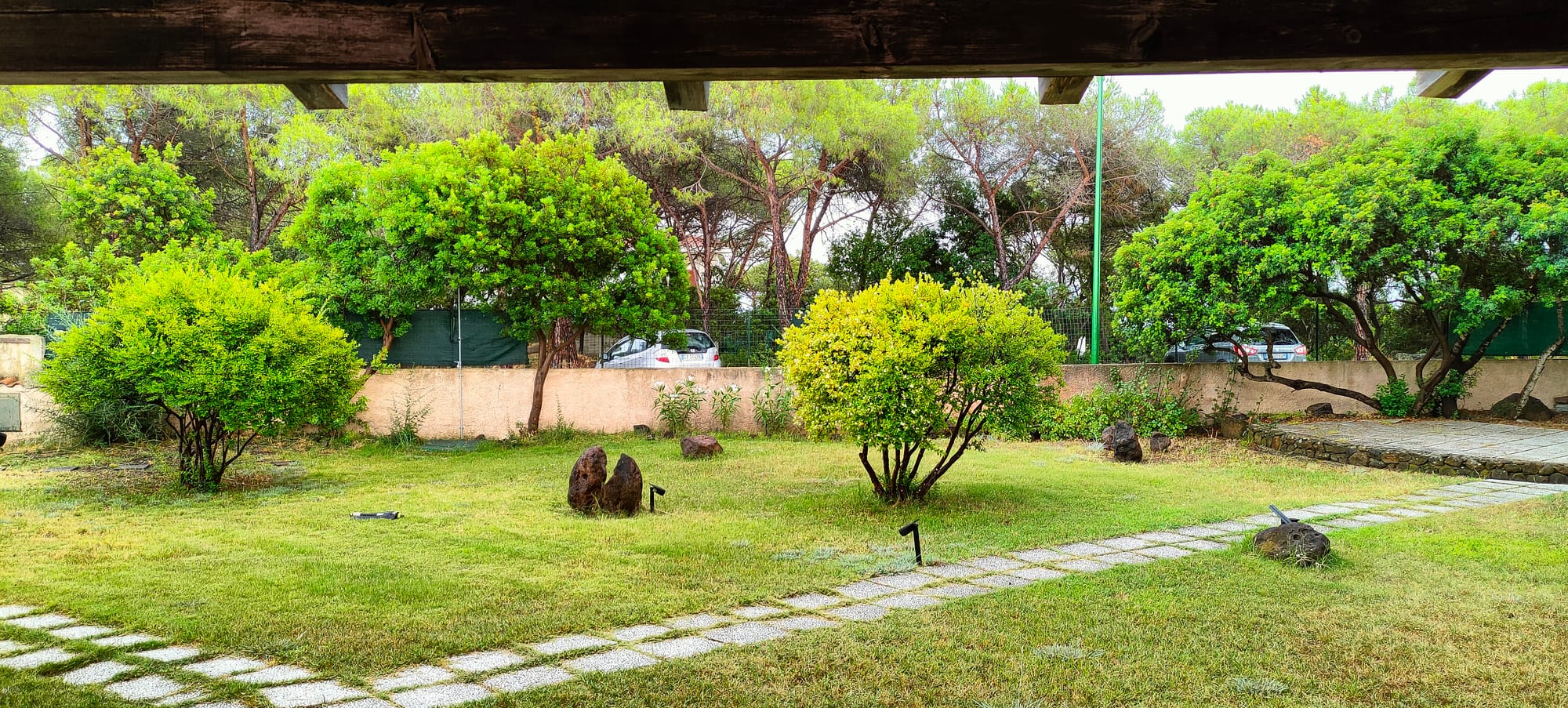Il mirto in giardino