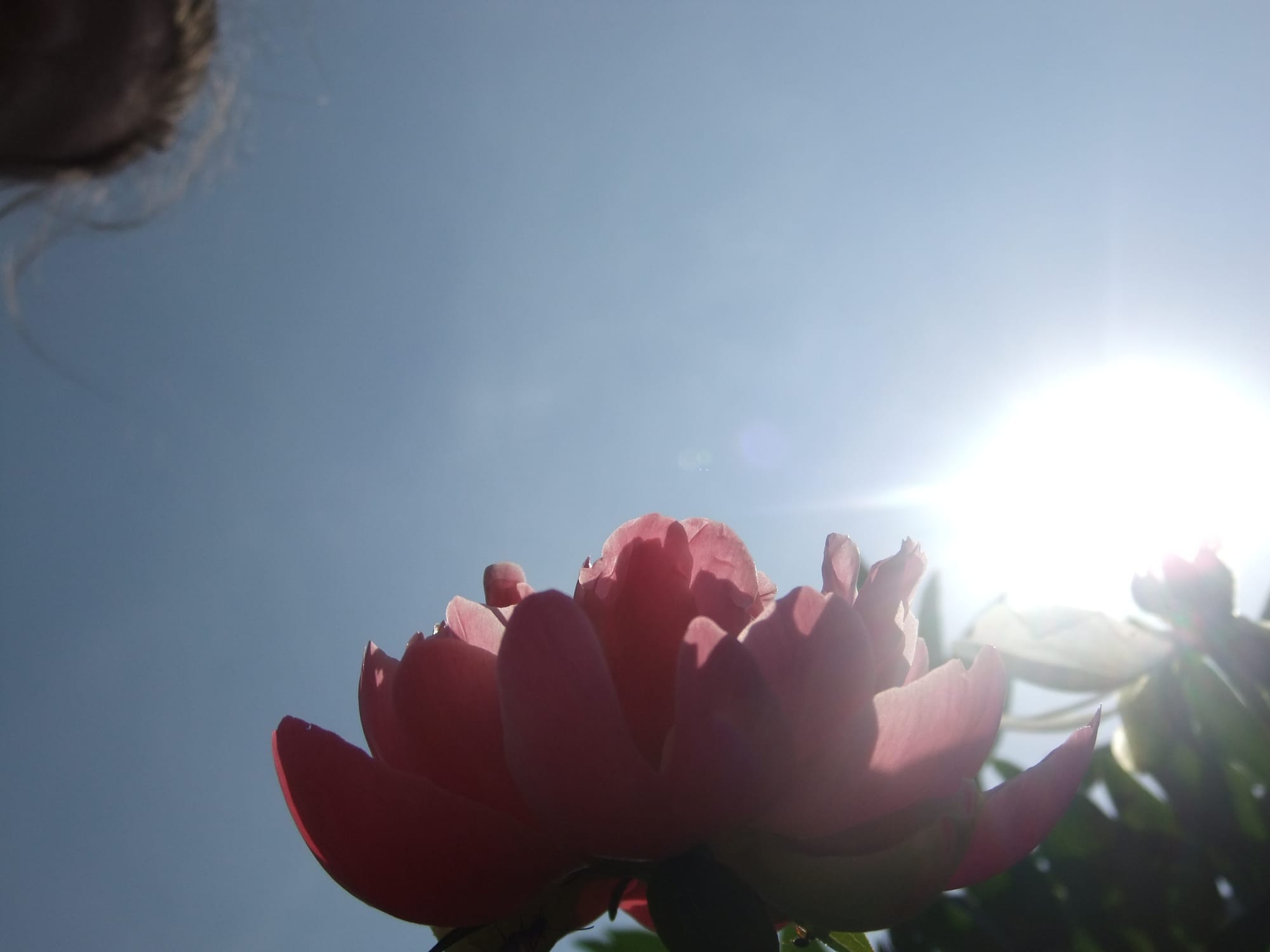 “Being a Channel” vs. “Channeling”