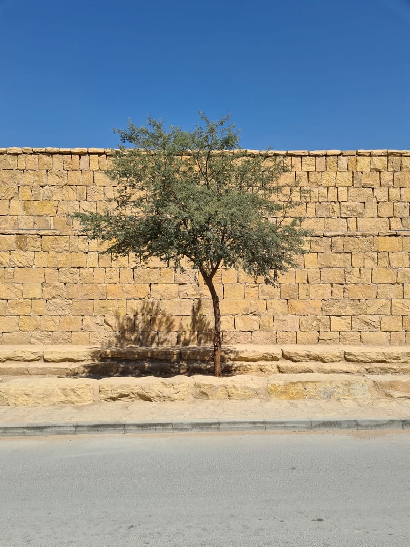 حجر الرياض