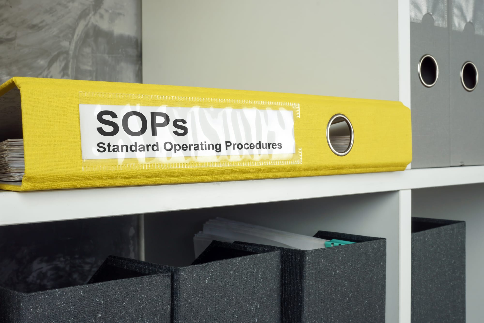 3-Hour Virtual Seminar on Bad Standard Operating Procedures (SOPs) – Bad Training: Garbage In, Garbage Out