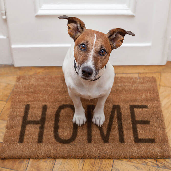 Consulta Domiciliar.